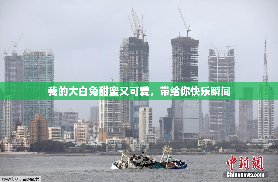 我的大白兔甜蜜又可爱，带给你快乐瞬间