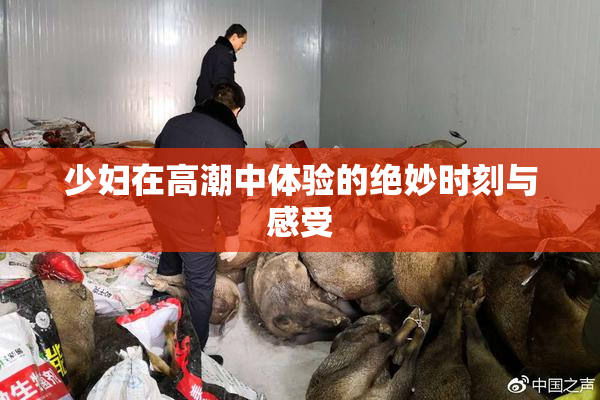 少妇在高潮中体验的绝妙时刻与感受