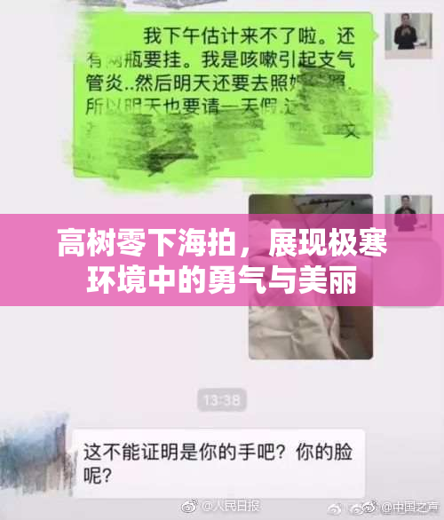 高树零下海拍，展现极寒环境中的勇气与美丽