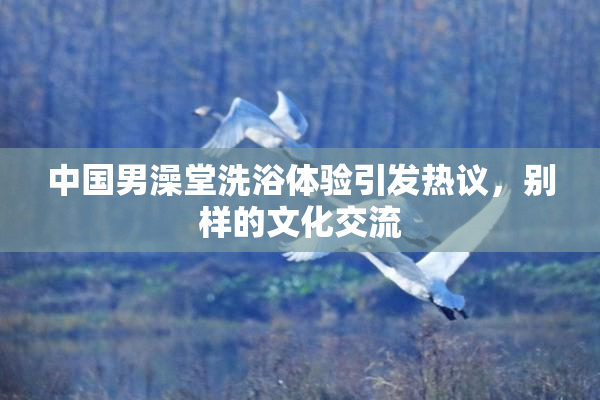 中国男澡堂洗浴体验引发热议，别样的文化交流