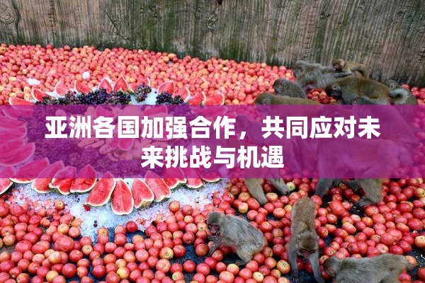 亚洲各国加强合作，共同应对未来挑战与机遇