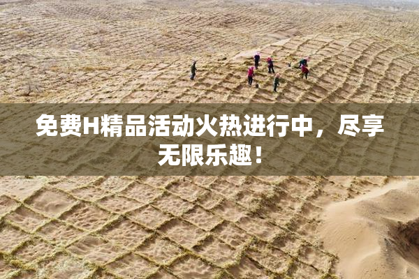 免费H精品活动火热进行中，尽享无限乐趣！