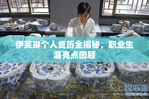 伊芙琳个人资历全揭秘，职业生涯亮点回顾