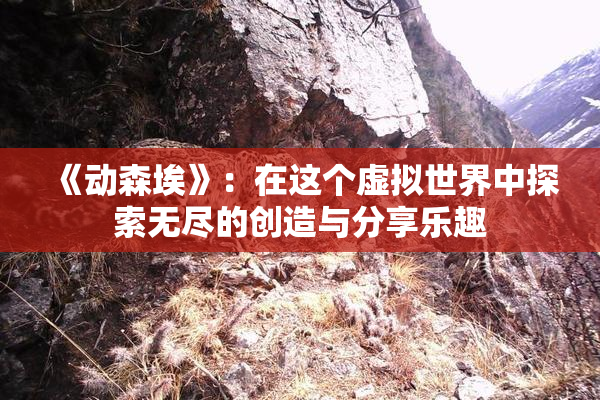 《动森埃》：在这个虚拟世界中探索无尽的创造与分享乐趣