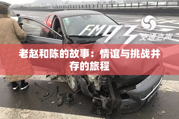 老赵和陈的故事：情谊与挑战并存的旅程
