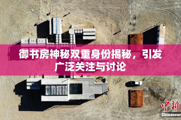 御书房神秘双重身份揭秘，引发广泛关注与讨论