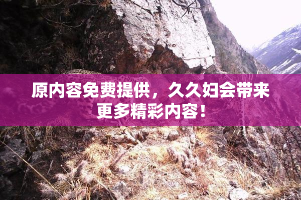 原内容免费提供，久久妇会带来更多精彩内容！