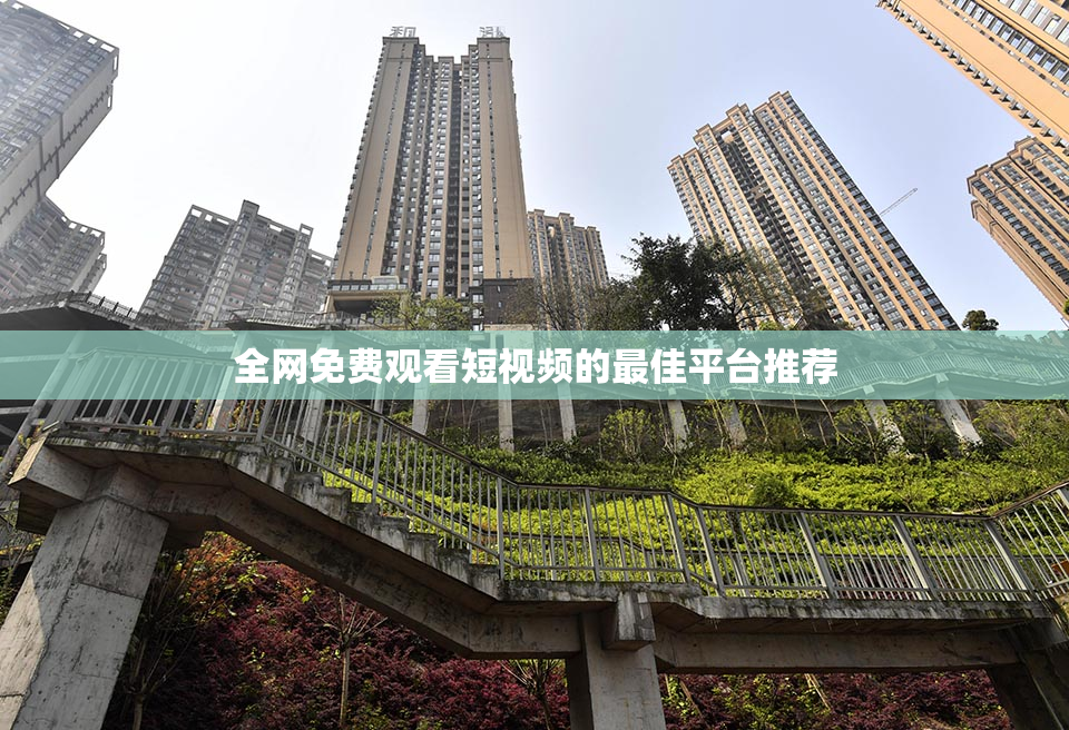 全网免费观看短视频的最佳平台推荐