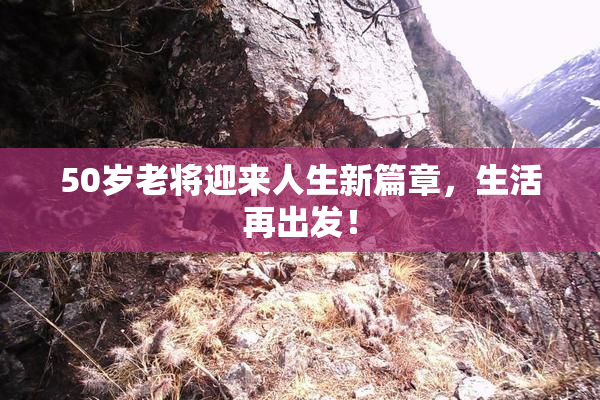 50岁老将迎来人生新篇章，生活再出发！
