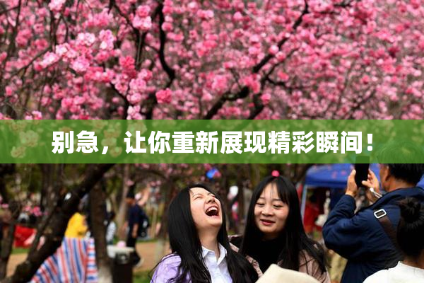 别急，让你重新展现精彩瞬间！