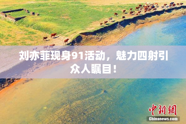 刘亦菲现身91活动，魅力四射引众人瞩目！