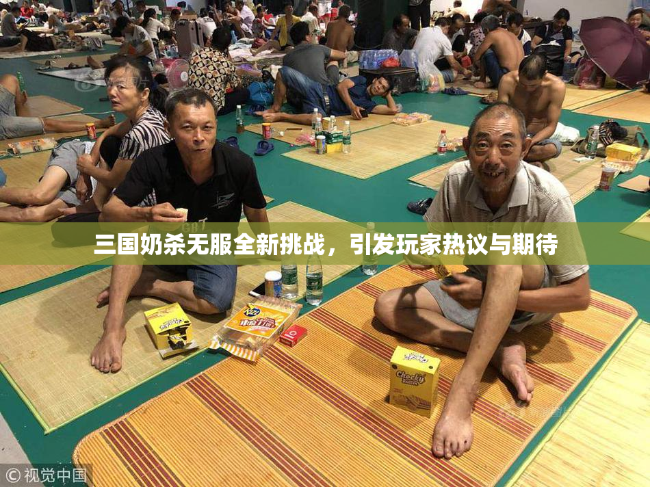 三国奶杀无服全新挑战，引发玩家热议与期待