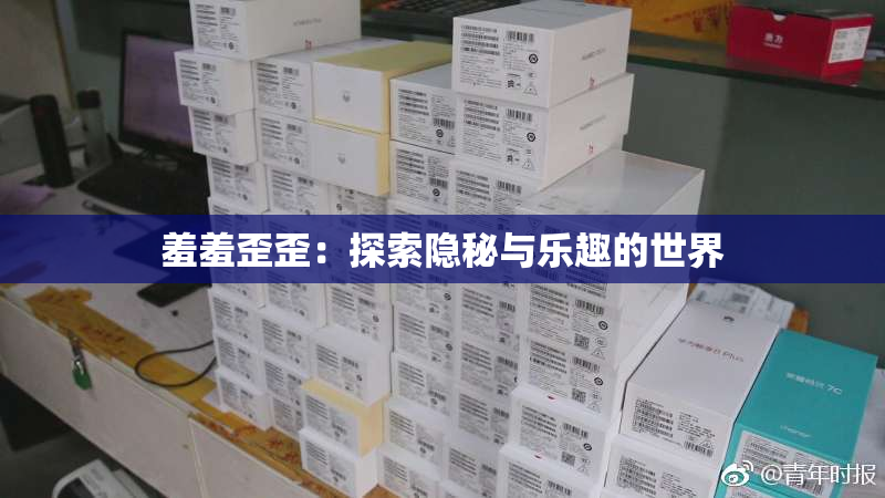 羞羞歪歪：探索隐秘与乐趣的世界