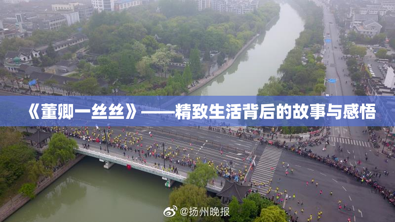 《董卿一丝丝》——精致生活背后的故事与感悟