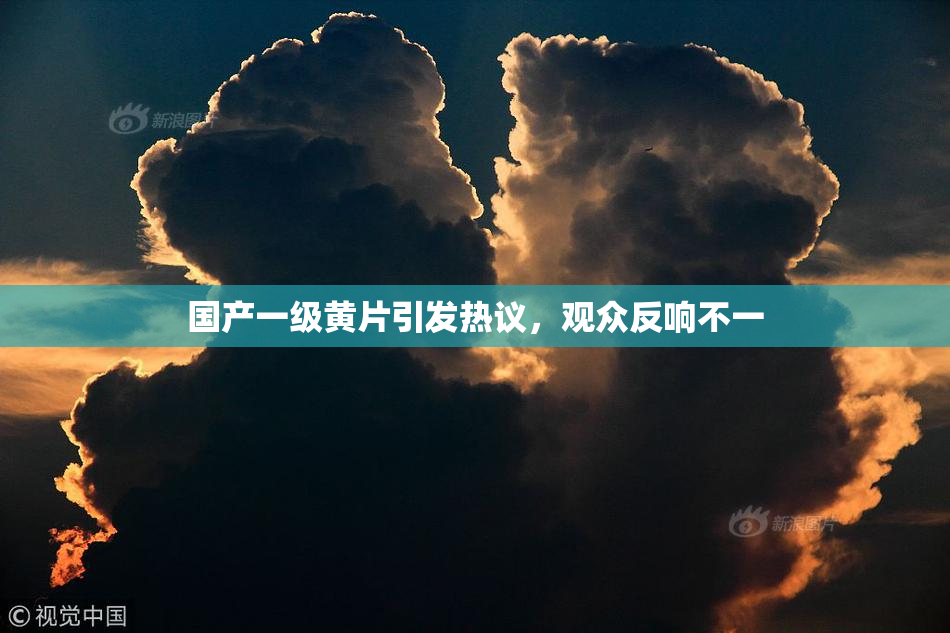 国产一级黄片引发热议，观众反响不一