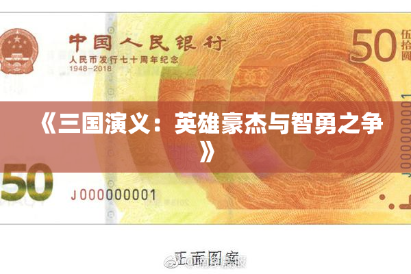 《三国演义：英雄豪杰与智勇之争》