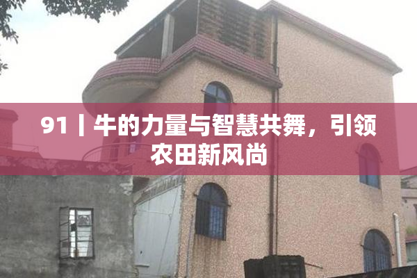 91丨牛的力量与智慧共舞，引领农田新风尚