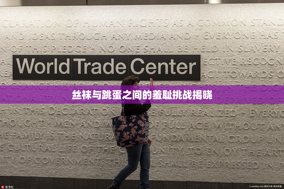 丝袜与跳蛋之间的羞耻挑战揭晓