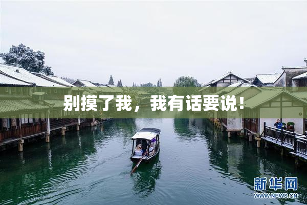 别摸了我，我有话要说！