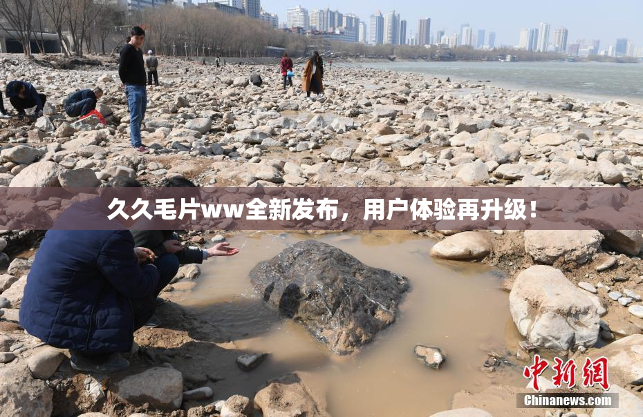 久久毛片ww全新发布，用户体验再升级！