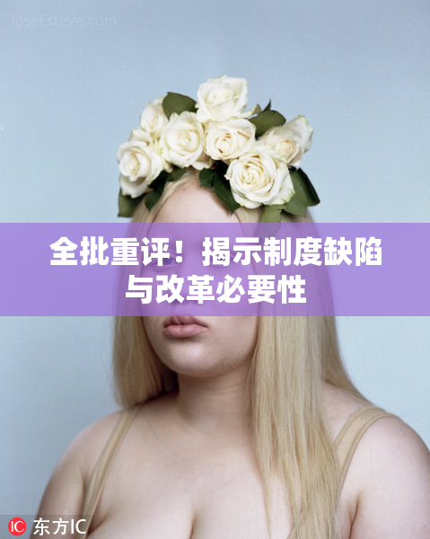 全批重评！揭示制度缺陷与改革必要性