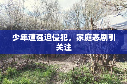 少年遭强迫侵犯，家庭悲剧引关注