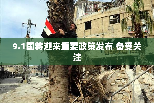 9.1国将迎来重要政策发布 备受关注