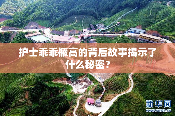 护士乖乖撅高的背后故事揭示了什么秘密？