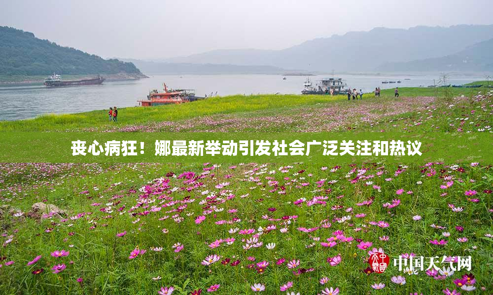 丧心病狂！娜最新举动引发社会广泛关注和热议
