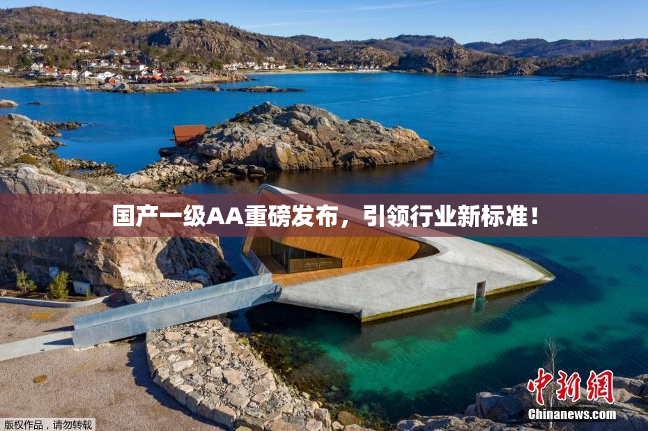 国产一级AA重磅发布，引领行业新标准！