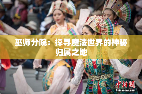 巫师分院：探寻魔法世界的神秘归属之地