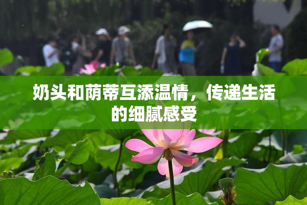 奶头和荫蒂互添温情，传递生活的细腻感受