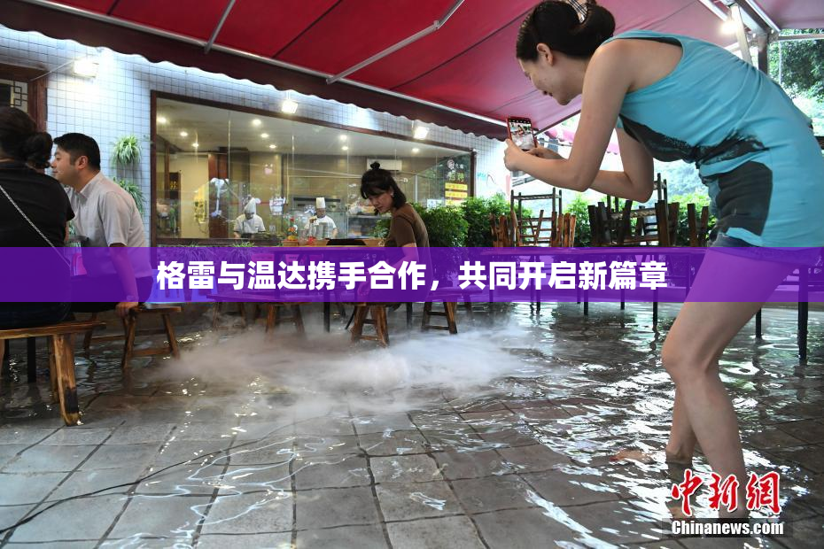 格雷与温达携手合作，共同开启新篇章