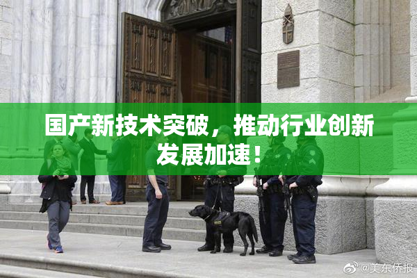国产新技术突破，推动行业创新发展加速！