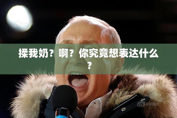 揉我奶？啊？你究竟想表达什么？