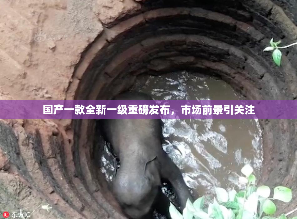 国产一款全新一级重磅发布，市场前景引关注