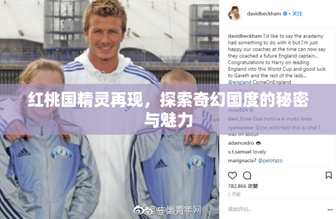 红桃国精灵再现，探索奇幻国度的秘密与魅力