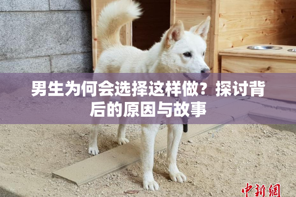 男生为何会选择这样做？探讨背后的原因与故事