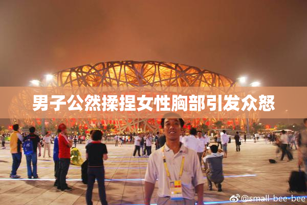 男子公然揉捏女性胸部引发众怒