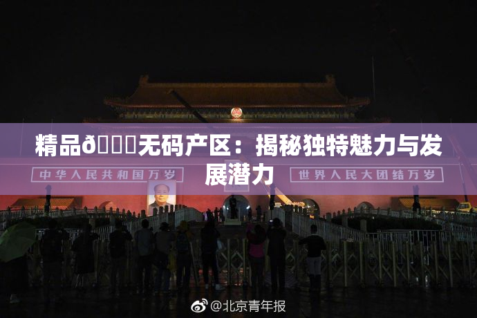精品🌃无码产区：揭秘独特魅力与发展潜力