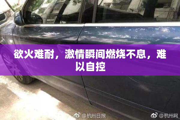 欲火难耐，激情瞬间燃烧不息，难以自控