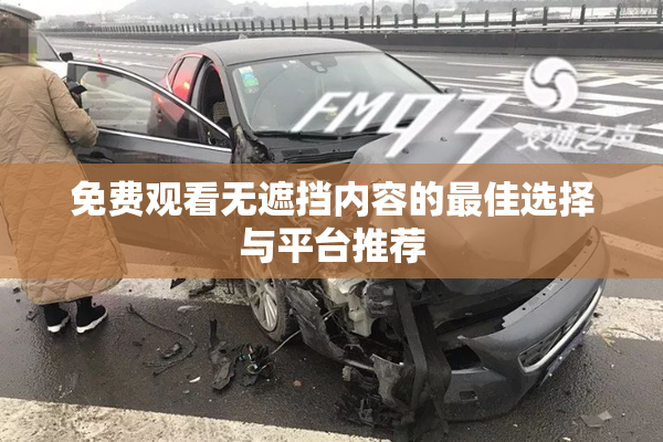 免费观看无遮挡内容的最佳选择与平台推荐