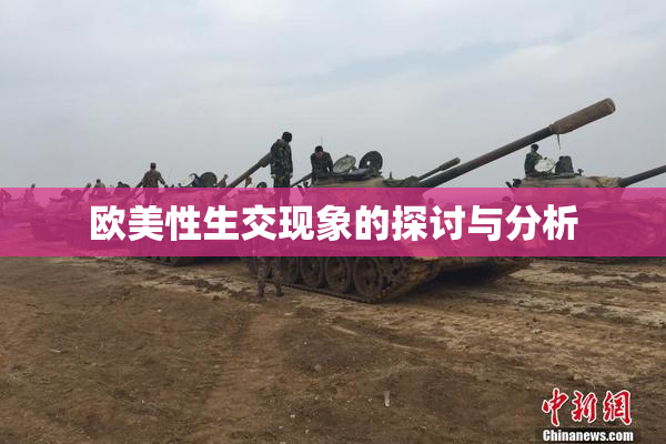 欧美性生交现象的探讨与分析