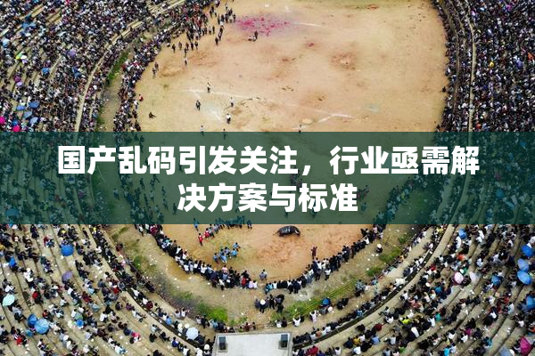国产乱码引发关注，行业亟需解决方案与标准