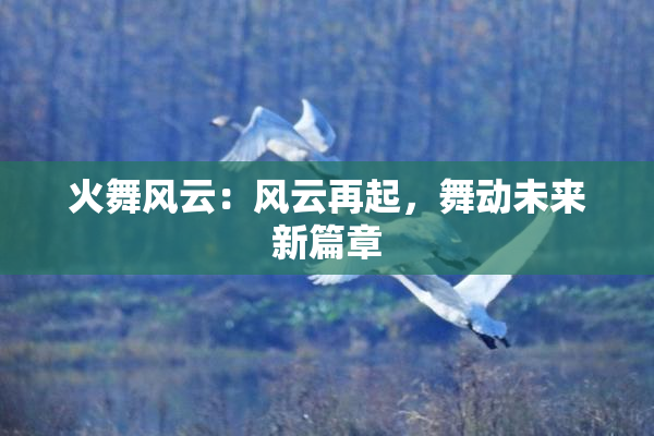 火舞风云：风云再起，舞动未来新篇章
