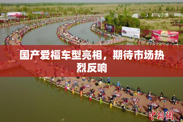 国产爱福车型亮相，期待市场热烈反响