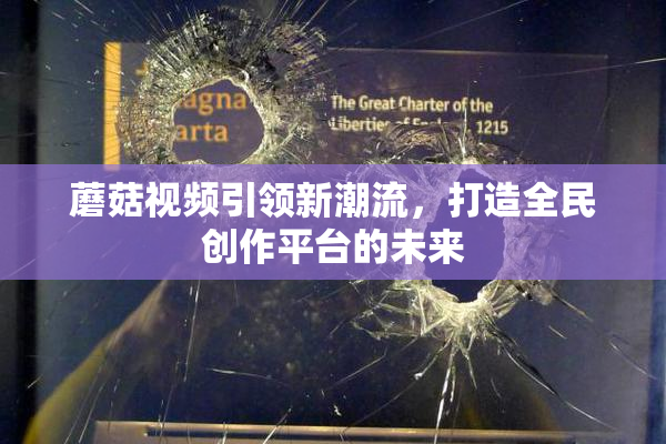 蘑菇视频引领新潮流，打造全民创作平台的未来