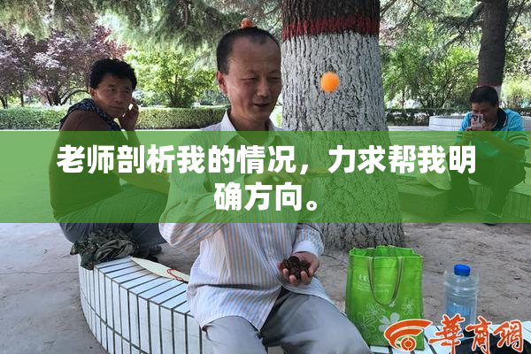 老师剖析我的情况，力求帮我明确方向。