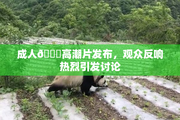 成人🔞高潮片发布，观众反响热烈引发讨论