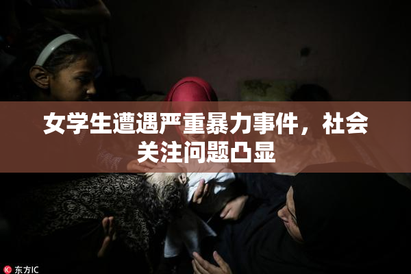 女学生遭遇严重暴力事件，社会关注问题凸显